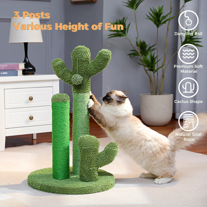 Cat Scratching Cactus Tree