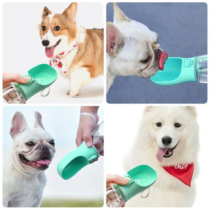 Pet Portable Water Bottle