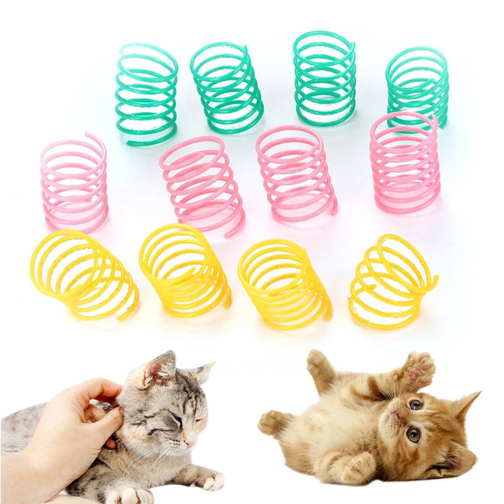 Kitten Coil Spiral Toy