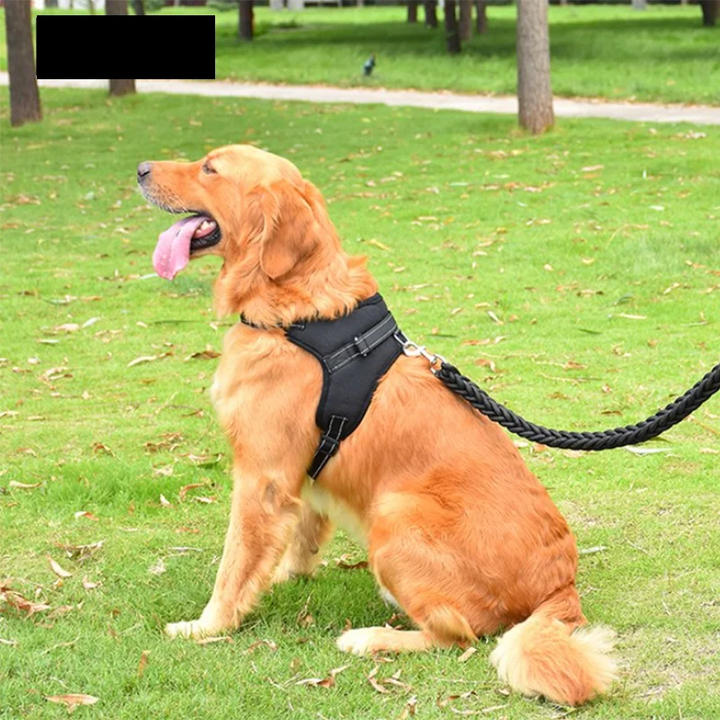 Pet Adjustable Harness