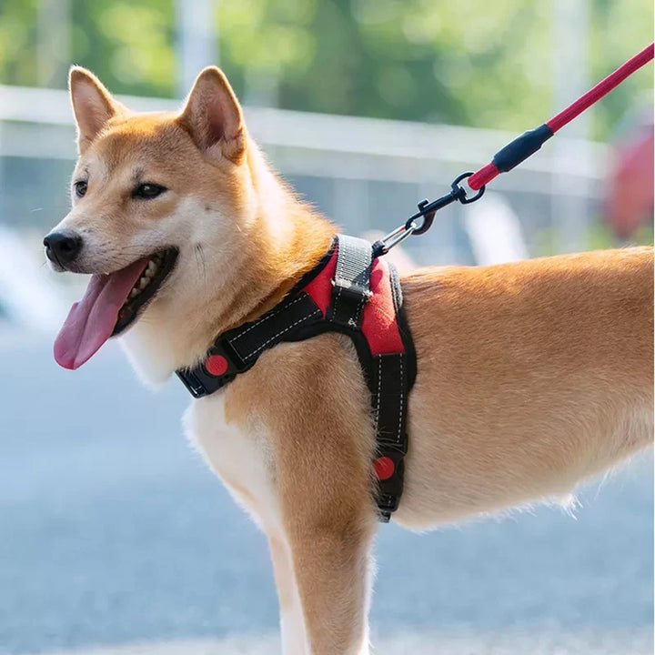 Pet Adjustable Harness