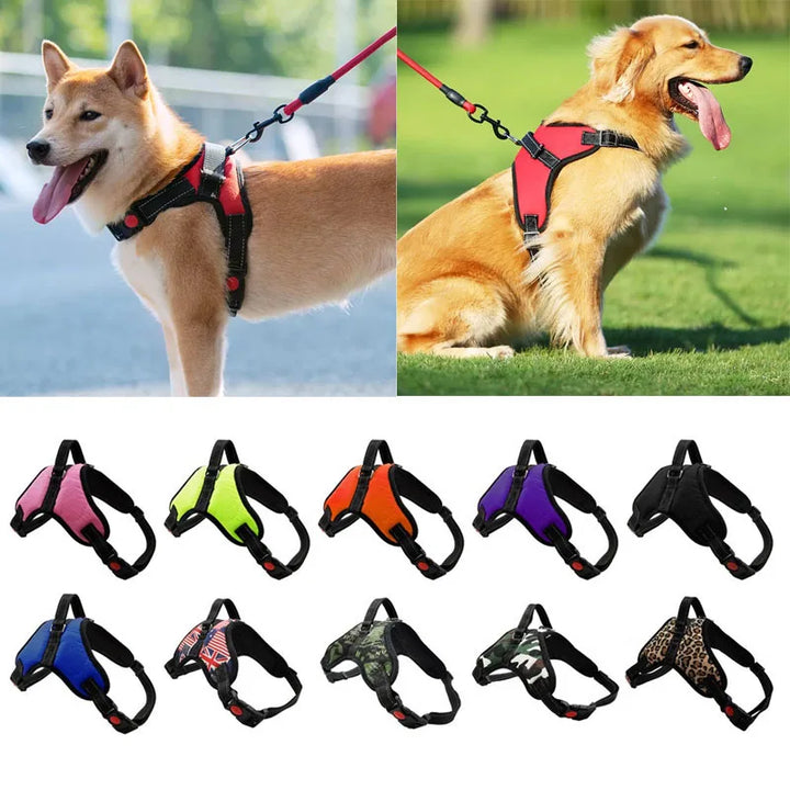 Pet Adjustable Harness