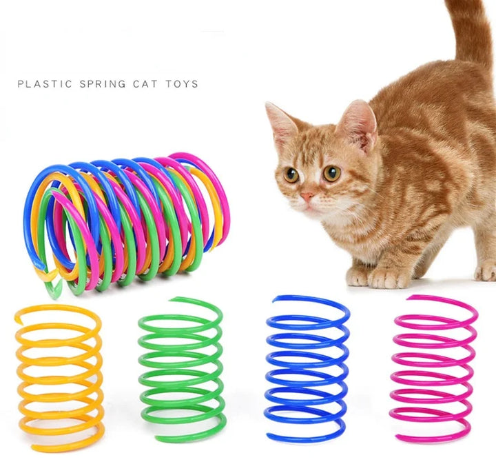 Kitten Coil Spiral Toy