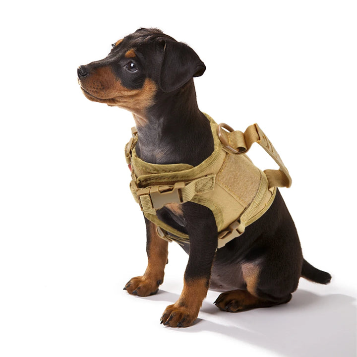 Tactical Harness For Pet