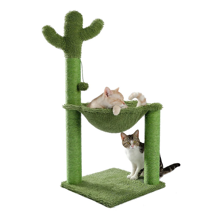 Cat Scratching Cactus Tree